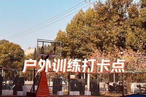 如何利用区块链技术改进篮球训练数据管理:案例与策略分析